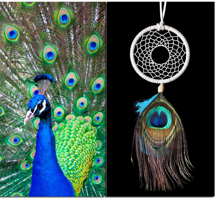 2018  Handmade  peacock feather dream catcher circular net  hanging decoration car  decor ornament  christmas gift